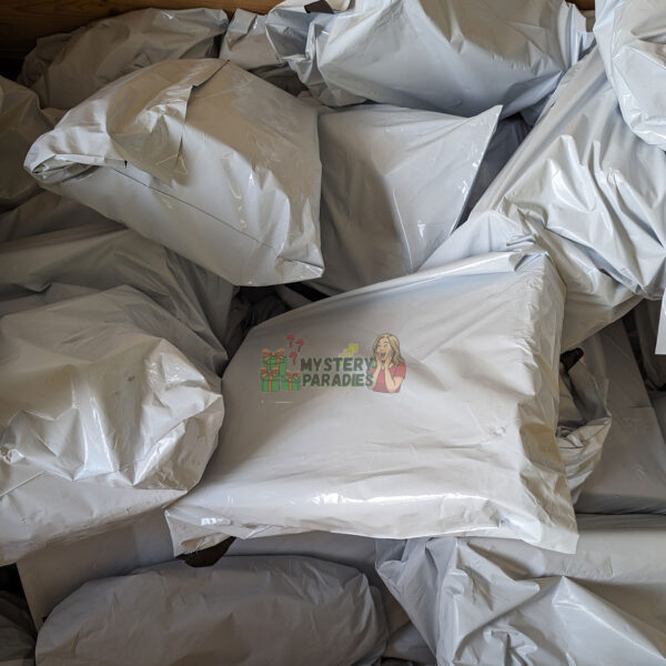 Mystery Paket